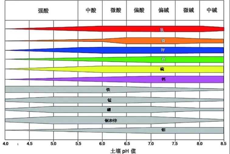 土壤PH速測(cè)儀，快速測(cè)PH